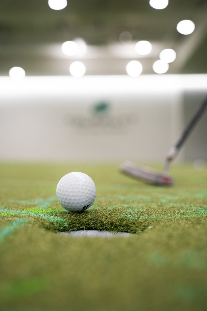 view of golf ball near hole in indoor golf area